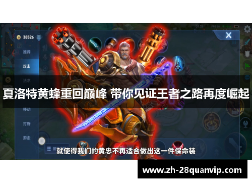 夏洛特黄蜂重回巅峰 带你见证王者之路再度崛起