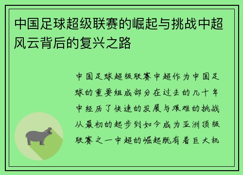 中国足球超级联赛的崛起与挑战中超风云背后的复兴之路